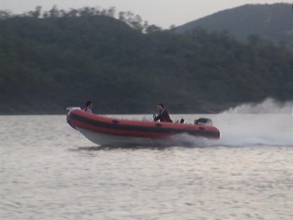 RIB500